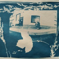 Cyanotype Copy 200 200