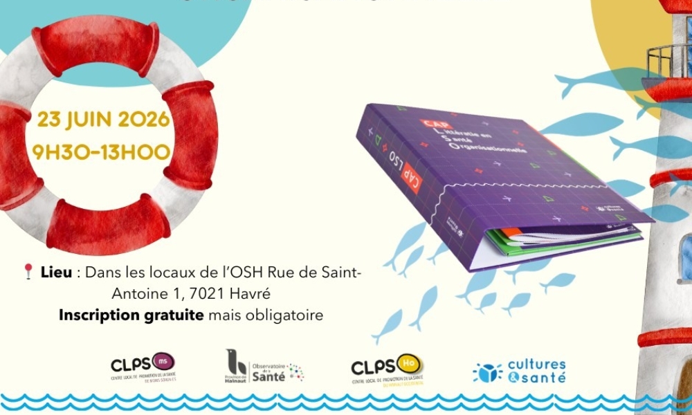 Cap Sur La Litteratie En Sante Organisationnelle 1